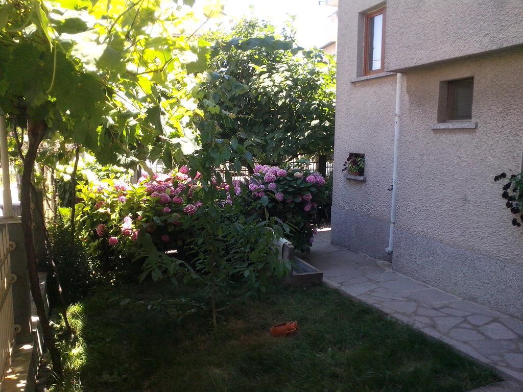 Guest House Krasi Tjernomorets Exteriör bild